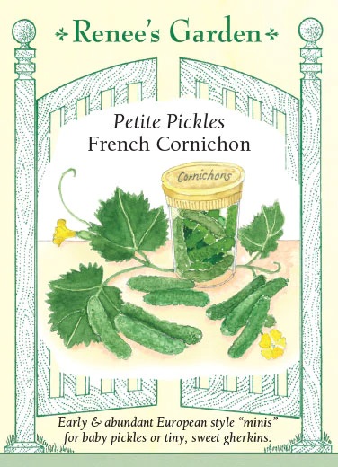 RG Pickles Petite Cornichon